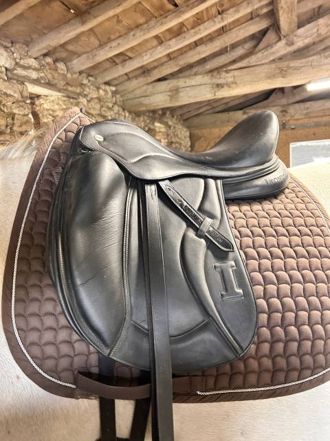 Selle de dressage Ikonic - « Evolution » 2025
