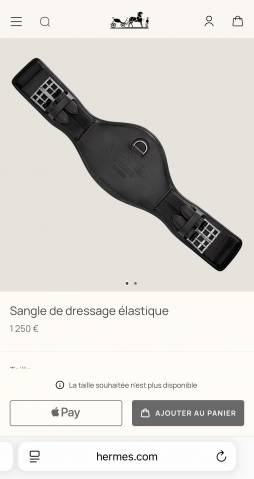 Sangle dressage Hérmes 