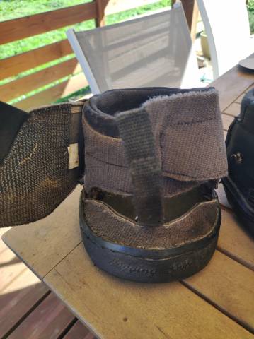 Hipposandales Équine fusion active jogging 14