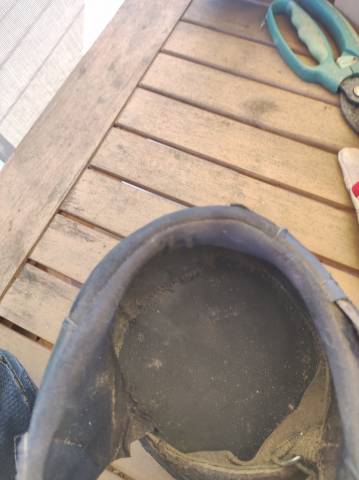 Hipposandales Équine fusion active jogging 14