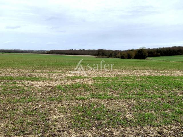 Terres agricoles libres