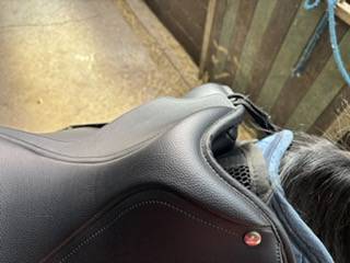 Toute nouvelle selle Wintec dressage 