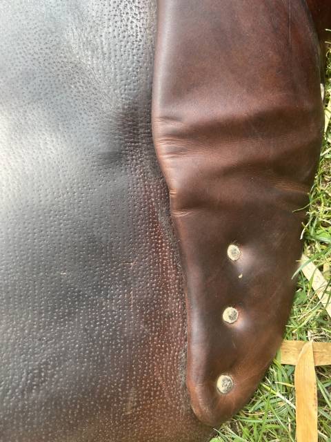 Vends selle mixte Antares marron