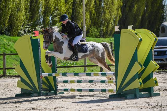 Rechercher poste palefrenier soigneur/ cavalier maison