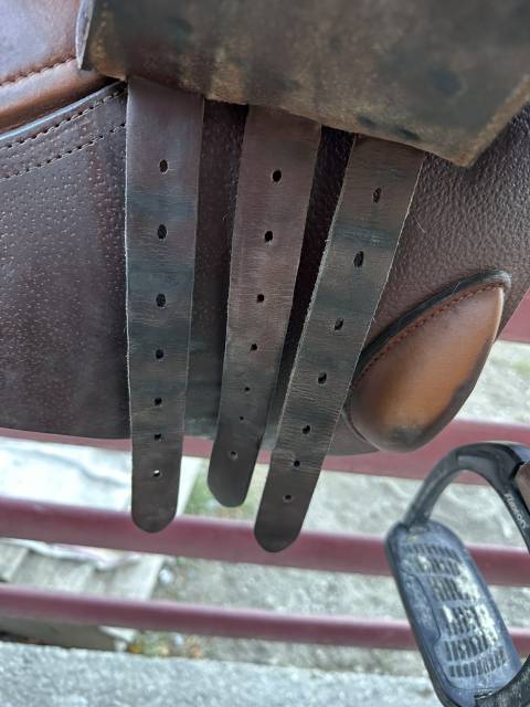 Selle GBS semi creuse 17.5