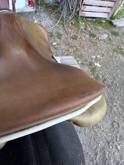 Selle GBS semi creuse 17.5