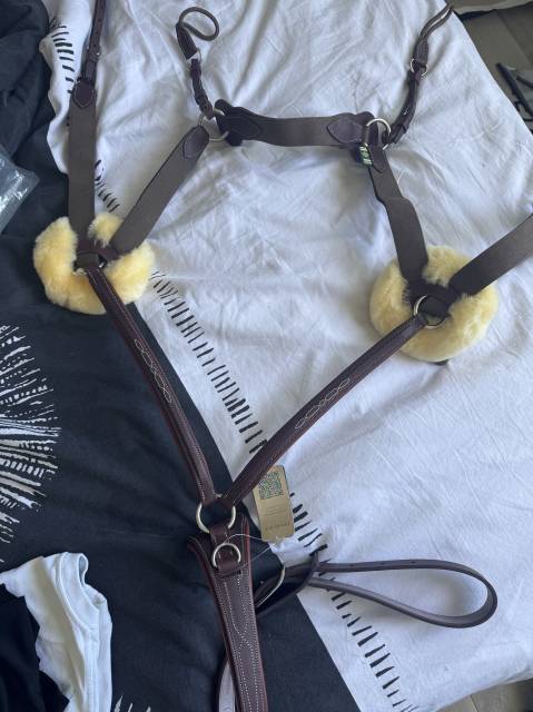 Collier de chasse Devoucoux 