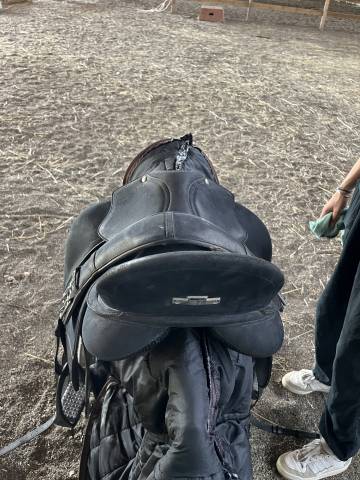 Selle de Dressage Wintec Isabel Hart 