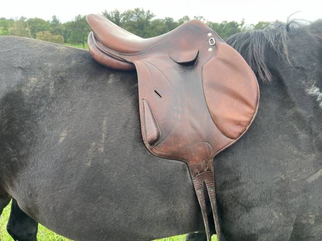 Selle mono quartier Brunet Pineau 17,50