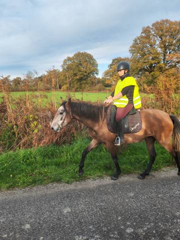 Jument origines lusitanienne oc