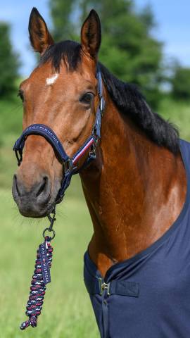 Set licol et longe Rope Yale - Tommy Hilfiger