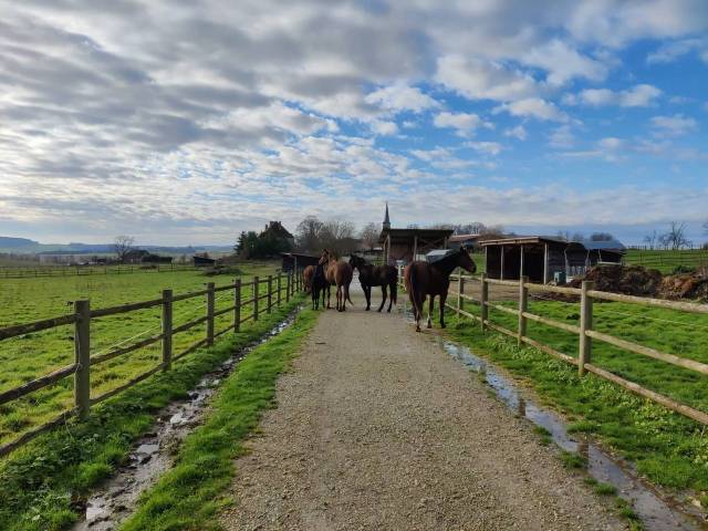 Conception propriété équestre