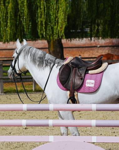 Tapis de selle TOUC TOUC Obstacle Rose - GEM