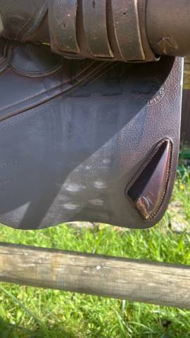 Selle CWD 17’ châtaigne 