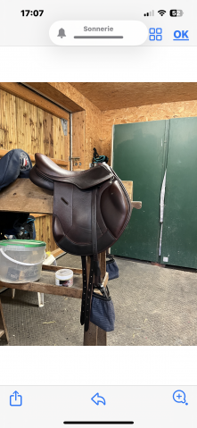 Vend Selle d Obstacle très peu utilisé 