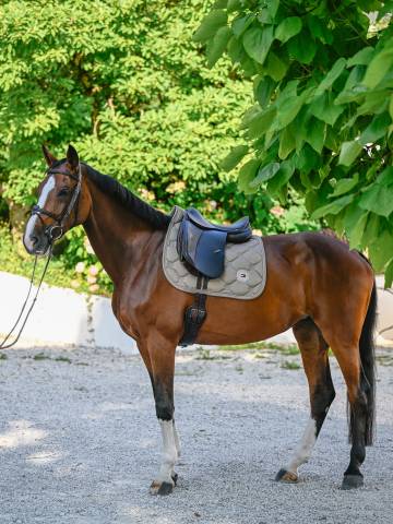 Tapis de selle Liberty DRESSAGE - Tommy Hilfiger - Matelassage en losanges