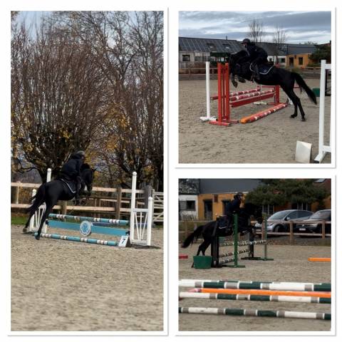 Ponette grand d onc 6 ans 