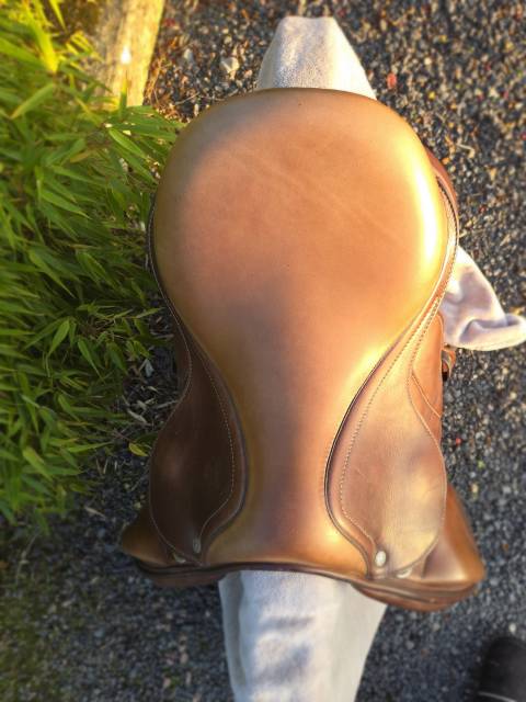 Selle monoquartier 15,5 ANTARES