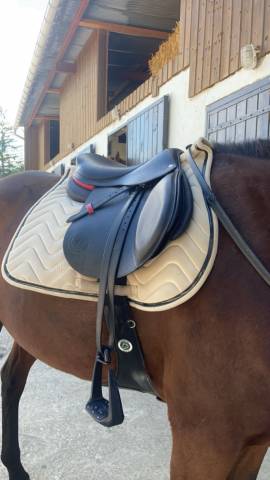 Selle noir FORESTIER