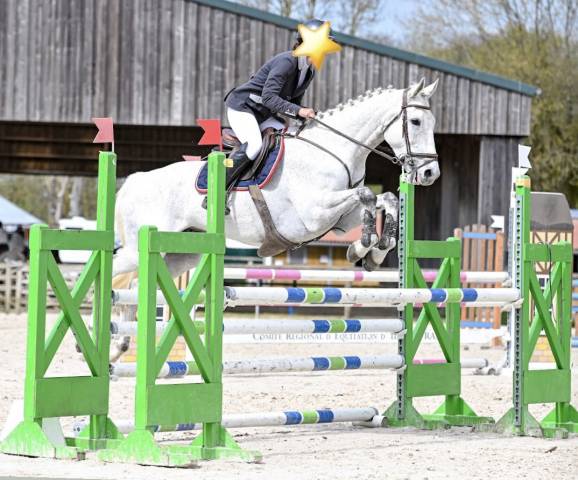 Hongre 8 ans cce / cso