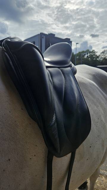 Selle Dressage Antares 17'