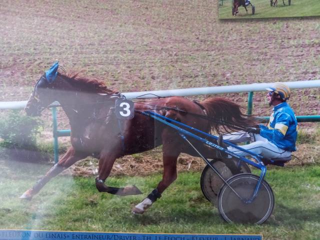 Trotteur francais reforme courses 2024