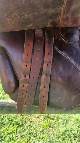 Selle Mixte Forestier 17,5'