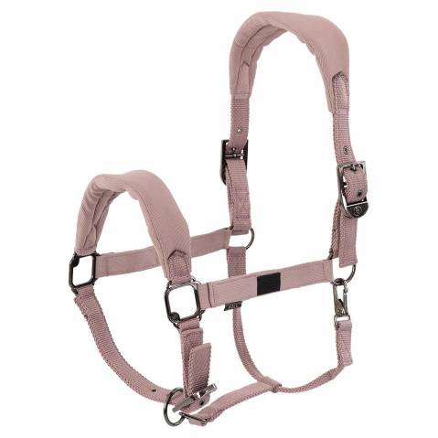 Licol Jessy Teddy - BR - Doux et confortable