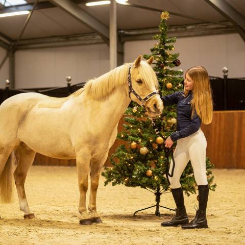 Pack de chaussettes Noël 2025 - QHP - Festives et confortables