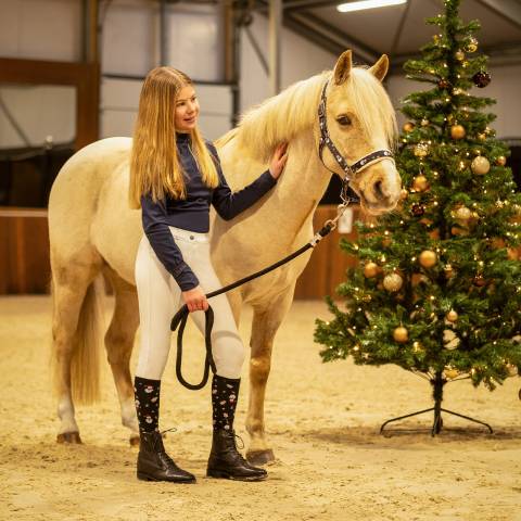 Pack de chaussettes Noël 2025 - QHP - Festives et confortables