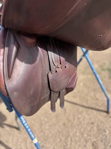 Selle obstacle Antares Confort