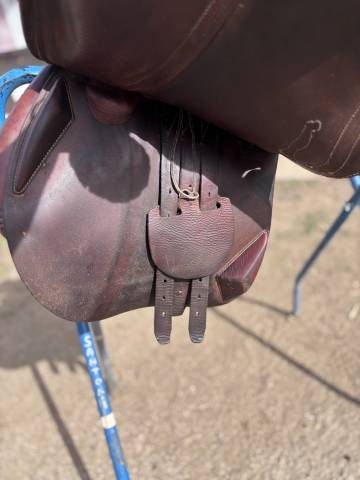 Selle obstacle Antares Confort