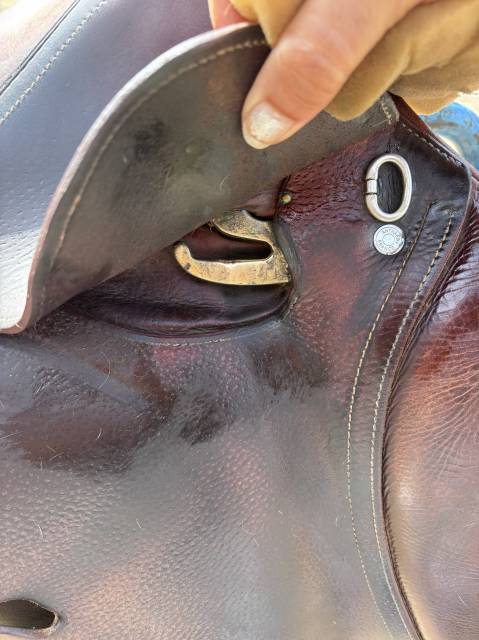 Selle obstacle Antares Confort