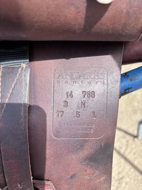 Selle obstacle Antares Confort