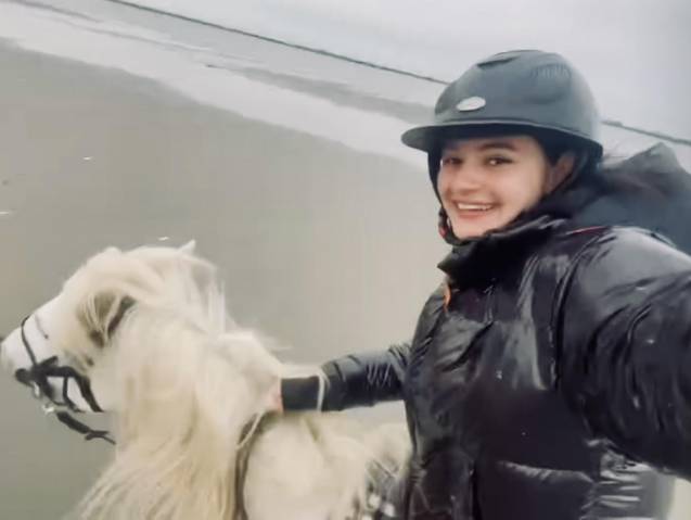 Cavalier soigneur -groom