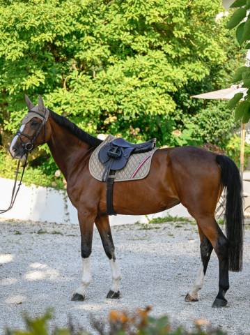 Tapis de selle Stanford MIXTE AW25 - Tommy Hilfiger - Surpiqures diamant