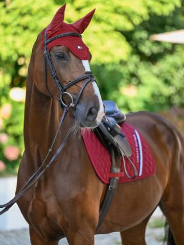 Tapis de selle Stanford MIXTE AW25 - Tommy Hilfiger - Surpiqures diamant