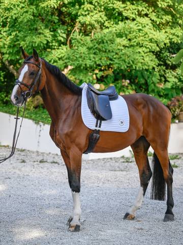 Tapis de selle Upstate DRESSAGE - Tommy Hilfiger - Mémoire de forme