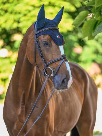 Bonnet anti-bruit Lexington Bleu Marine - Tommy Hilfiger