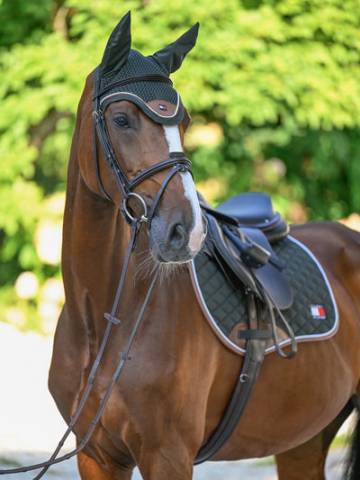 Tapis de selle Princeton MIXTE Kaki - Tommy Hilfiger - Bordure en faux cuir