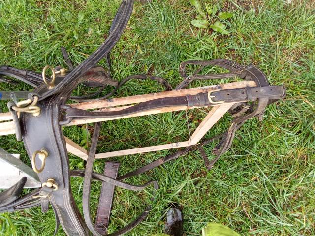 harnais attelage paire