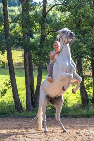 Au galop vers la liberté,  en chemin vers soi