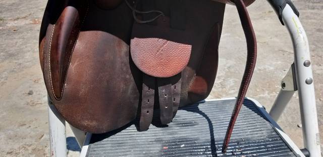 selle CSO ANTARES 17p quartiers 2N