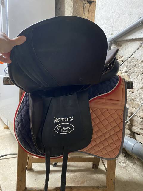 selle typ islandais 17,5