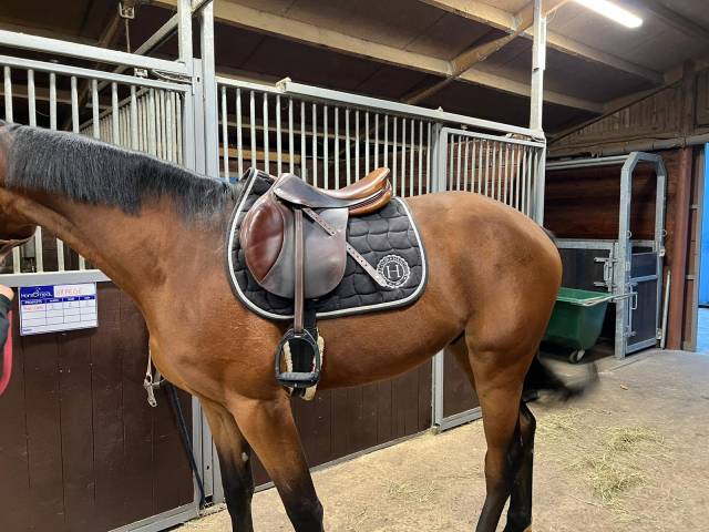 Selle forestier très bon état 