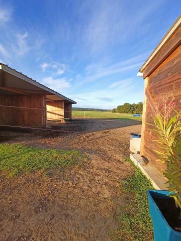 écurie de propriétaire