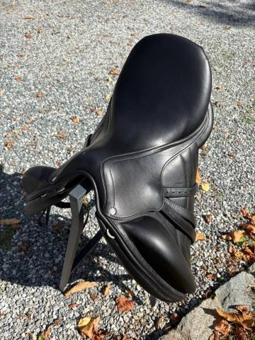 Selle Antares Cadence 17