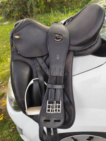 Selle dressage Wien Eric Thomas 