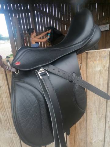 Selle kent and master serie S low 17.5 noire 