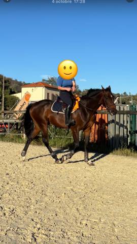 Trotteur 4ans